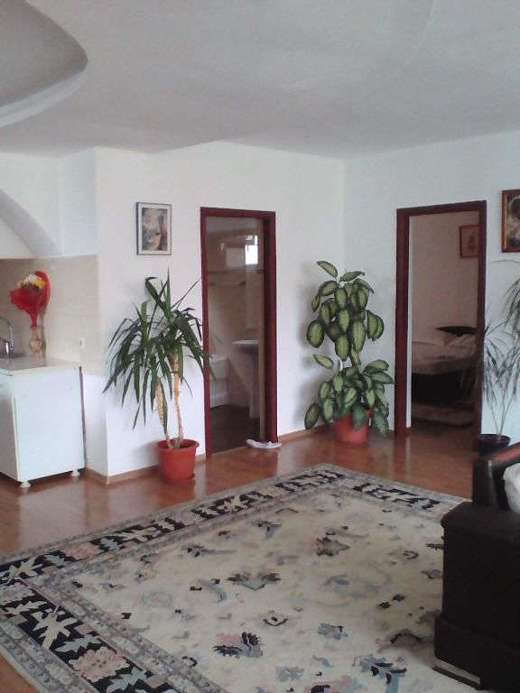 Проживание в семье Casa Blanca Эфорие-Норд-25